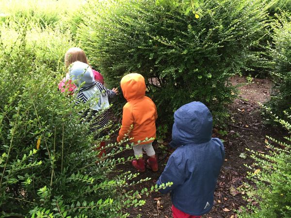 Trois enfants explorent les buissons du jardin